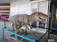 探秘白垩纪，青岛这场展览带你“重返”恐龙时代！