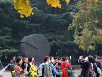 争妍斗艳的中山公园菊展，你get到了吗