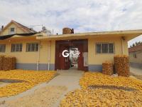 满地金黄，西海岸新区六汪镇的秋天好美