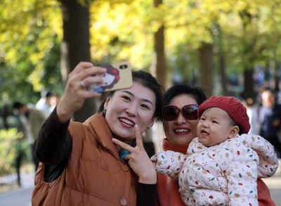 树叶落了海鸥来了，与秋天来一场浪漫告别