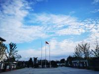 未觉池塘春草绿，阶前梧叶已秋声——深秋的实高园，你见过吗？