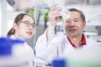 精准发力让乡土人才“破土”而出——乡村振兴系列（16）