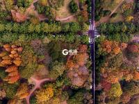 与落叶最后的约会！八大关迎来深冬时节