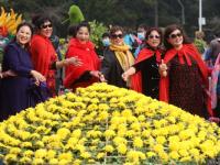 争妍斗艳的中山公园菊展，你get到了吗