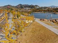 秋色大片出炉的新景点 青岛世博园等你来打卡