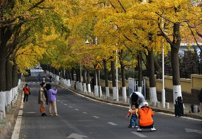 深秋时节，青岛进入五彩斑斓的世界