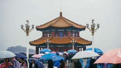 雨水打湿了一座城，初冬超有质感|青画⑭