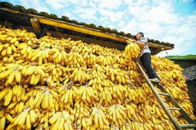 即墨区位列第18！“2020中国县域综合实力百强榜”出炉，山东10地上榜