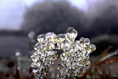 冬至未到，江西抚州的山里就出现了一片冰晶