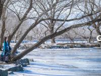 不平凡的2020⑰：记录成长的蝶变