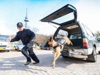 不平凡的2020⑮：用影像回望城市成长