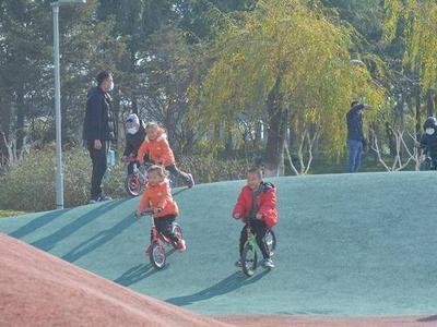 @青岛人，10天来最暖一天你感受到了吗？24日最低温又将跌至-8℃