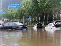 不平凡的2020⑬：记录生活 留住瞬间