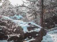 崂山雪景惊艳上线！这是最让人期盼的冬景