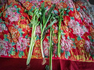 寒冬中，蔬菜“藏”在棉被毛毯下面卖