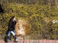 不平凡的2020⑧：用相机见证“第一”