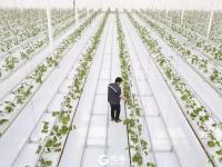 预计年产值约120亿元 这个“客厅”要火