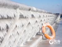 冻透了！胶州湾沿岸成“魔幻世界”