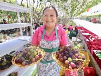 不平凡的2020⑮：用影像回望城市成长