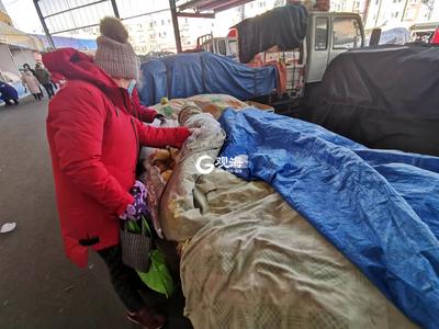 寒冬中，蔬菜“藏”在棉被毛毯下面卖