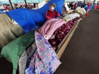 寒冬中，蔬菜“藏”在棉被毛毯下面卖