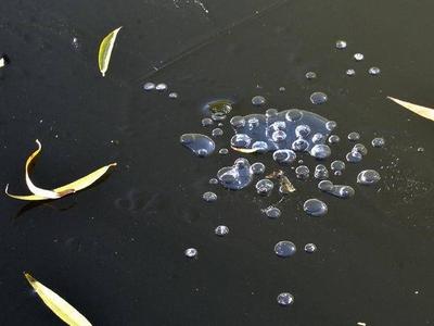 天寒冰封李村河，青岛开启“冰窖”模式