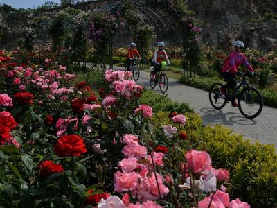 不平凡的2020④：平平淡淡的美好