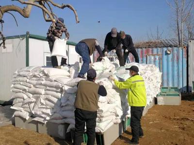 大雪节气这天，青岛这个地方100余人做了这件事……