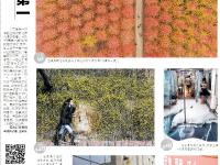 不平凡的2020⑧：用相机见证“第一”