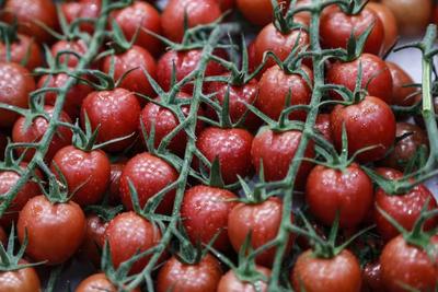 预计年产值约120亿元 这个“客厅”要火