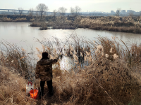 冬韵尽显，白沙河开启“冰封”模式