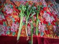 寒冬中，蔬菜“藏”在棉被毛毯下面卖