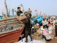 不平凡的2020⑬：记录生活 留住瞬间