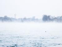 青海贵德：黄河晨景
