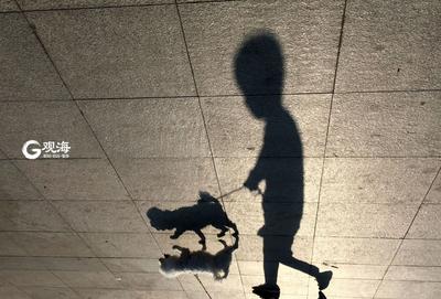 一次快门！照亮影子的黑白世界