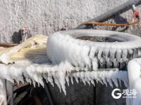 冻透了！胶州湾沿岸成“魔幻世界”