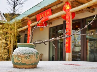 “三权分置”新模式 盘活农村土地 唤醒“沉睡资产”——乡村振兴系列（23）