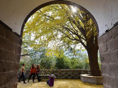 不平凡的2020④：平平淡淡的美好