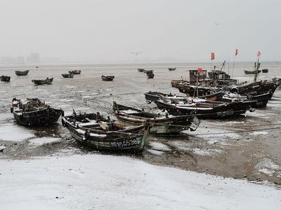 雪落渔船连成片 别有一番景象