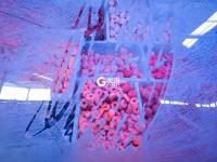 寒冬中，蔬菜“藏”在棉被毛毯下面卖