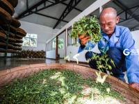 不平凡的2020⑰：记录成长的蝶变