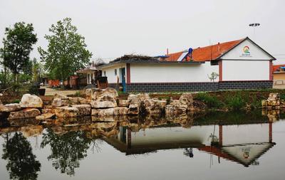青岛这个地方上榜山东省休闲农业示范点（村） 