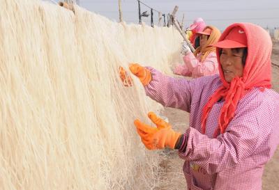 粉条收获季 古法制作粉条延续400多年