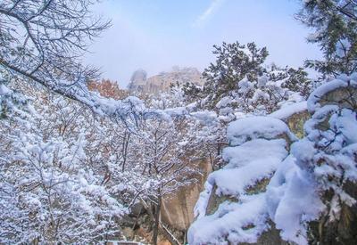 崂山雪景惊艳上线！这是最让人期盼的冬景