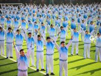 不平凡的2020⑰：记录成长的蝶变