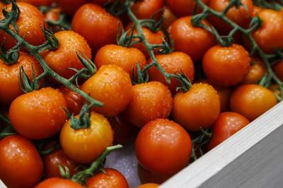 预计年产值约120亿元 这个“客厅”要火