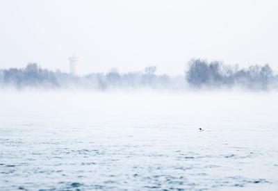 青海贵德：黄河晨景