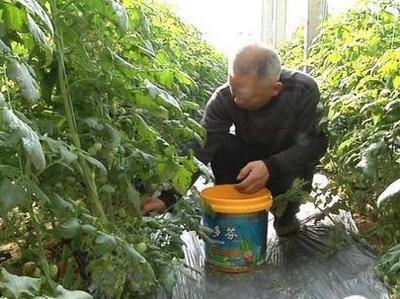 莱西农民专业合作社辅导员队伍正式成立