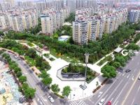 为什么说青岛宜居？看完这组图你就知道了