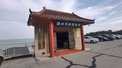 回放|320+件藏品！带你认识“海蜇第一村”